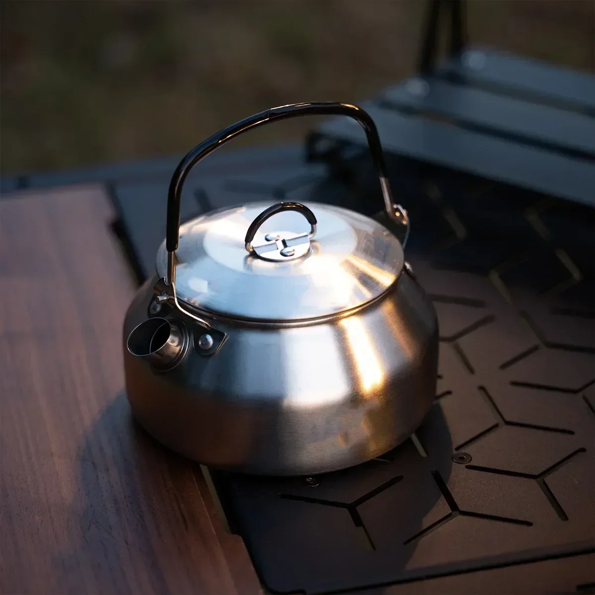 Stainless Steel Kettle 0.8L Po - Coffee Equipment Travel Bag 评论和价格