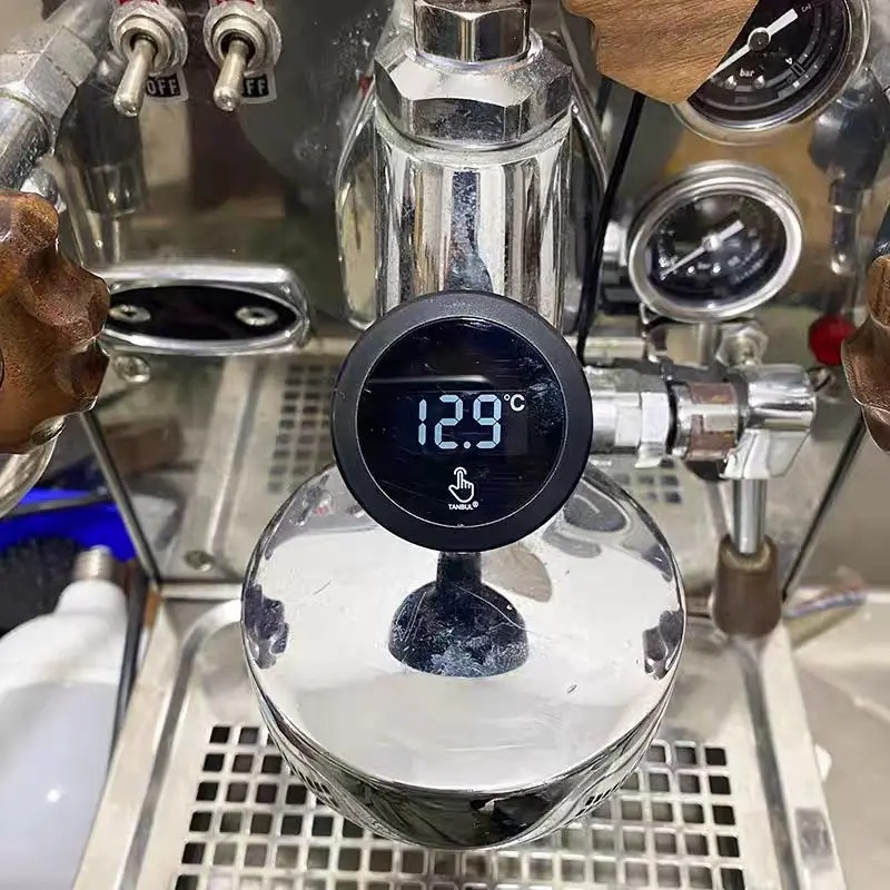 E61 Thermometer Espresso  for  - Coffee Machine Expobar 评论和价格